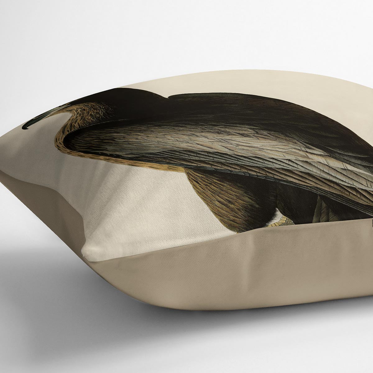 Bird of Washington by Audubon Cushion