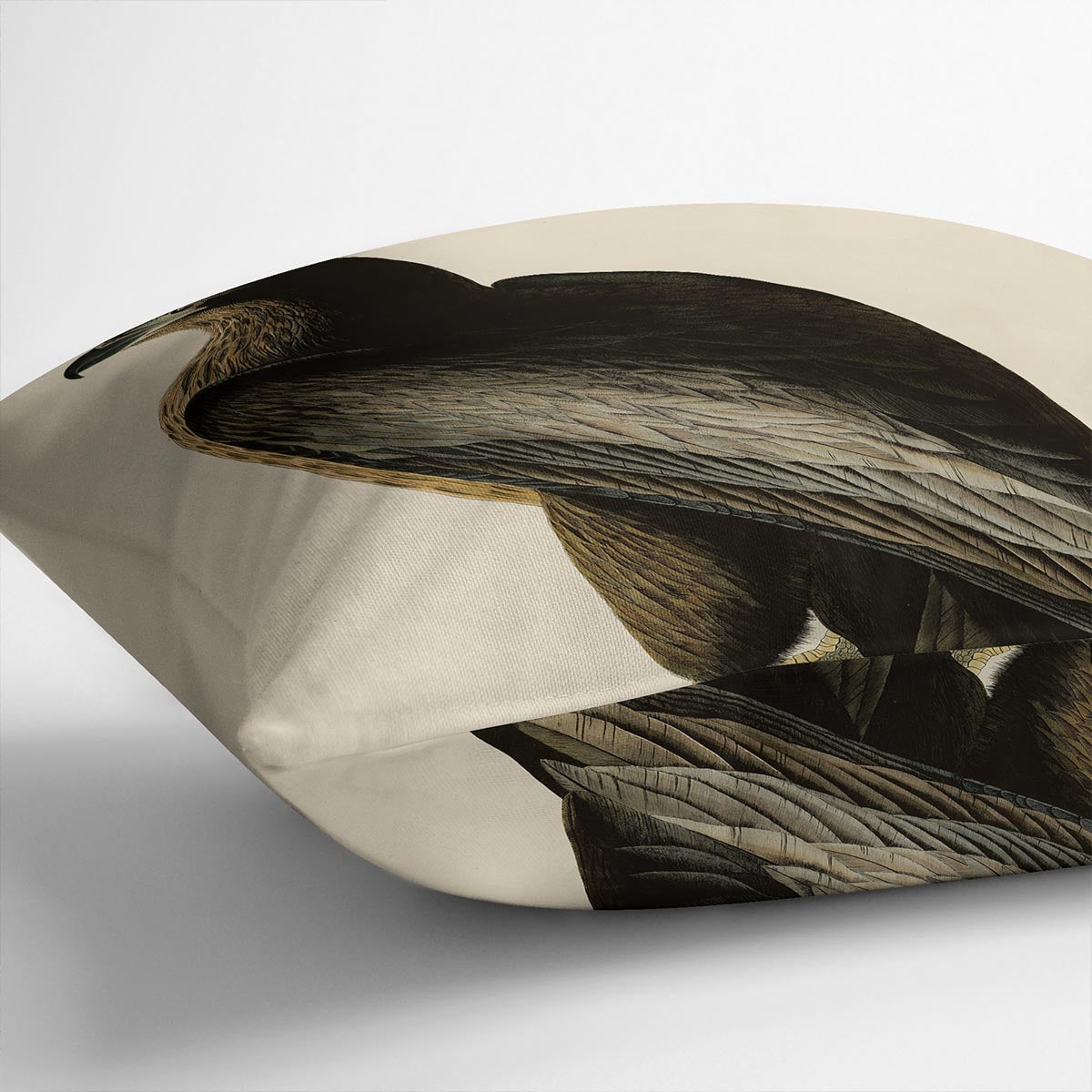 Bird of Washington by Audubon Cushion