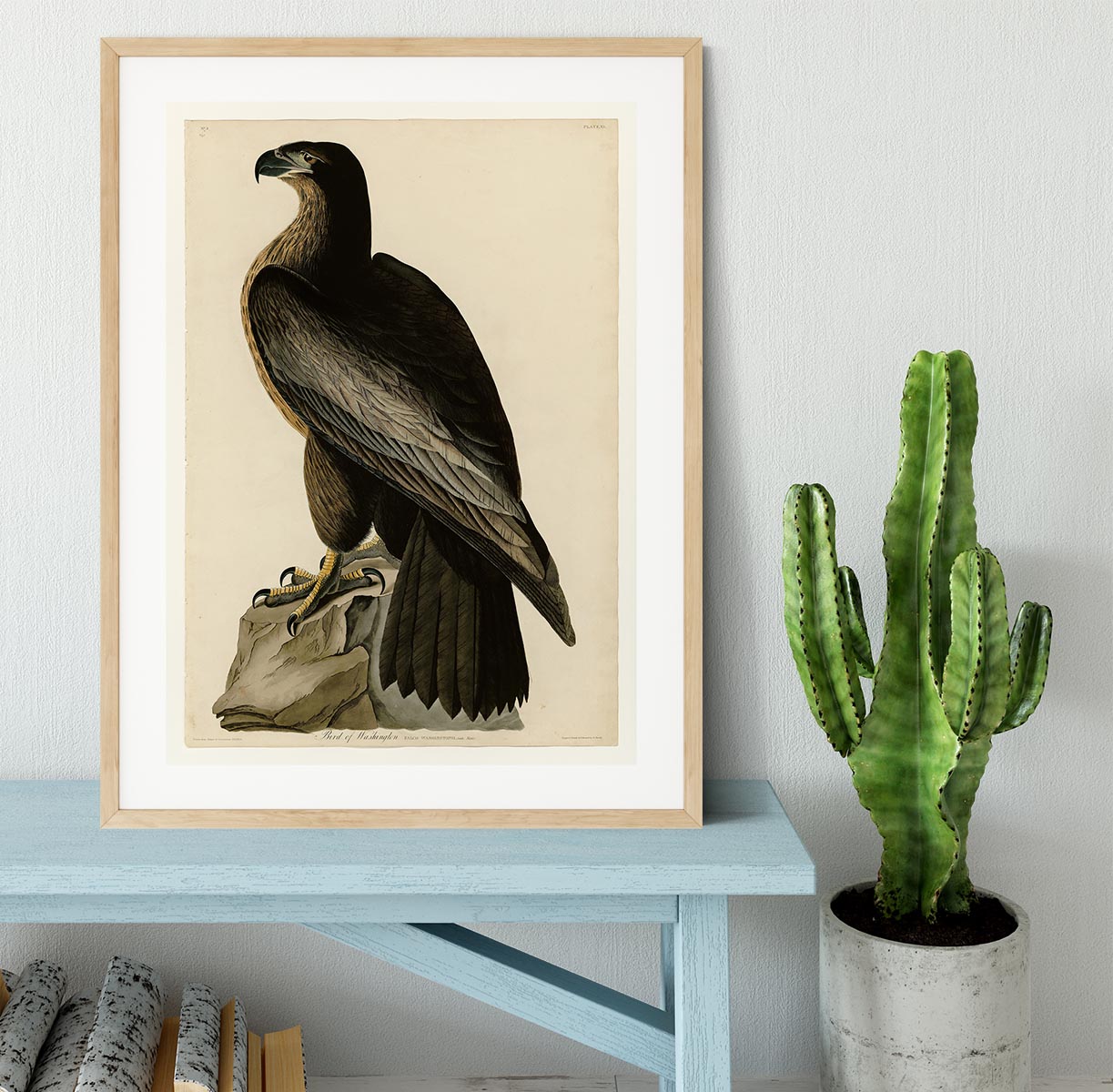 Bird of Washington by Audubon Framed Print - Canvas Art Rocks - 3