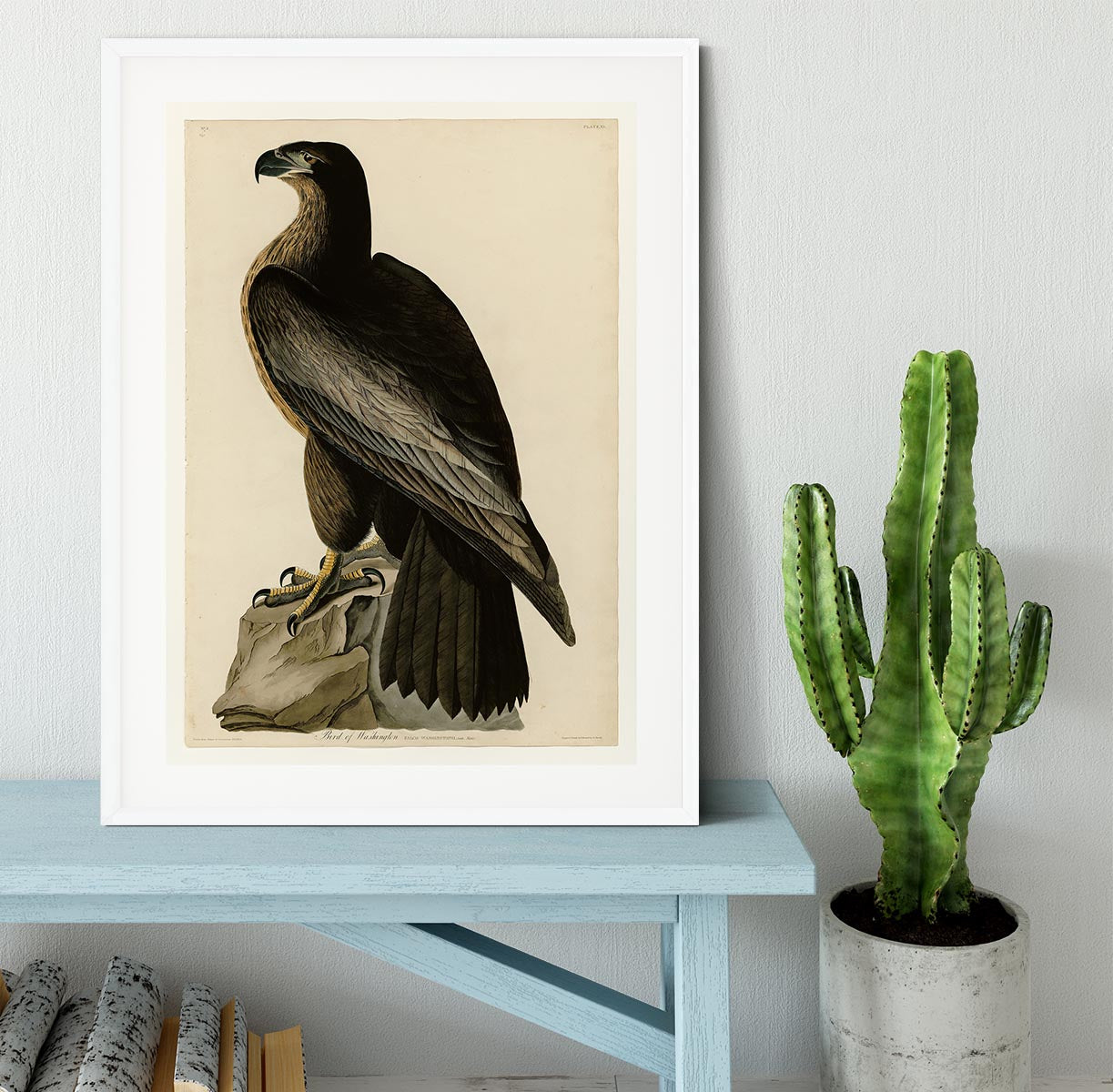 Bird of Washington by Audubon Framed Print - Canvas Art Rocks - 5