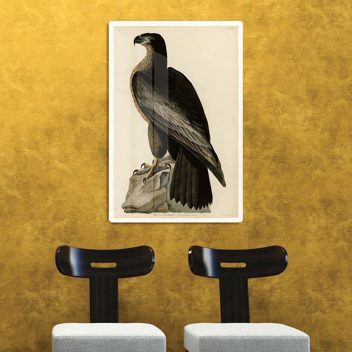 Bird of Washington by Audubon HD Metal Print - Canvas Art Rocks - 2