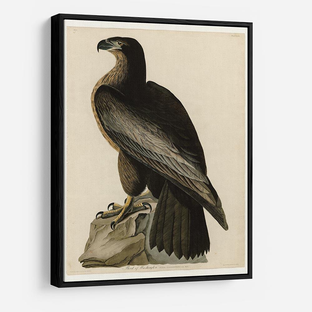 Bird of Washington by Audubon HD Metal Print - Canvas Art Rocks - 6