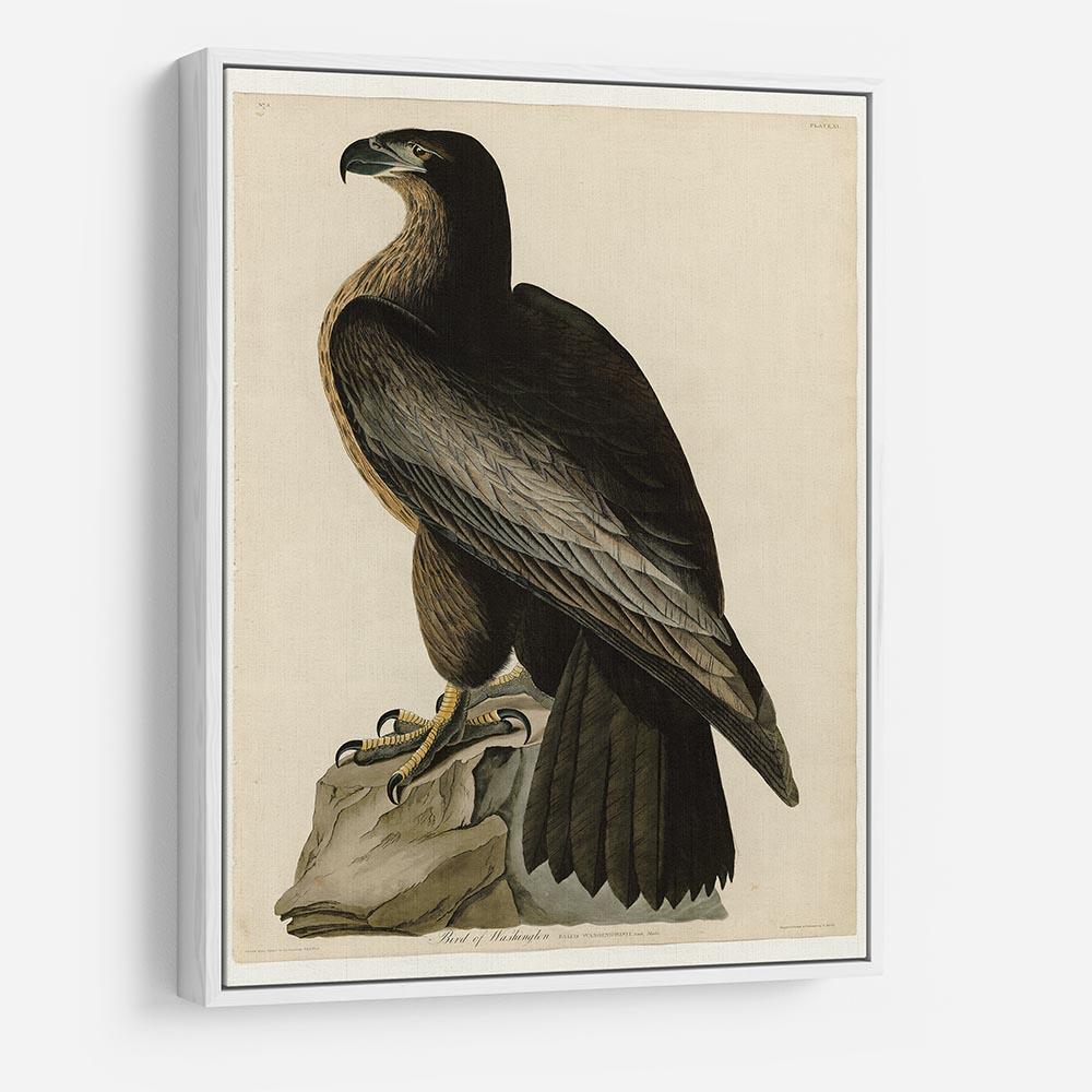 Bird of Washington by Audubon HD Metal Print - Canvas Art Rocks - 7