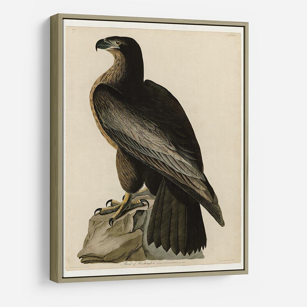 Bird of Washington by Audubon HD Metal Print - Canvas Art Rocks - 8