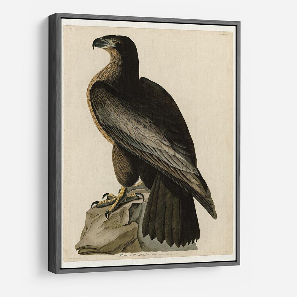 Bird of Washington by Audubon HD Metal Print - Canvas Art Rocks - 9