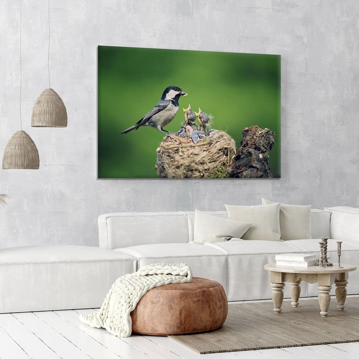 Birds Canvas Print or Poster