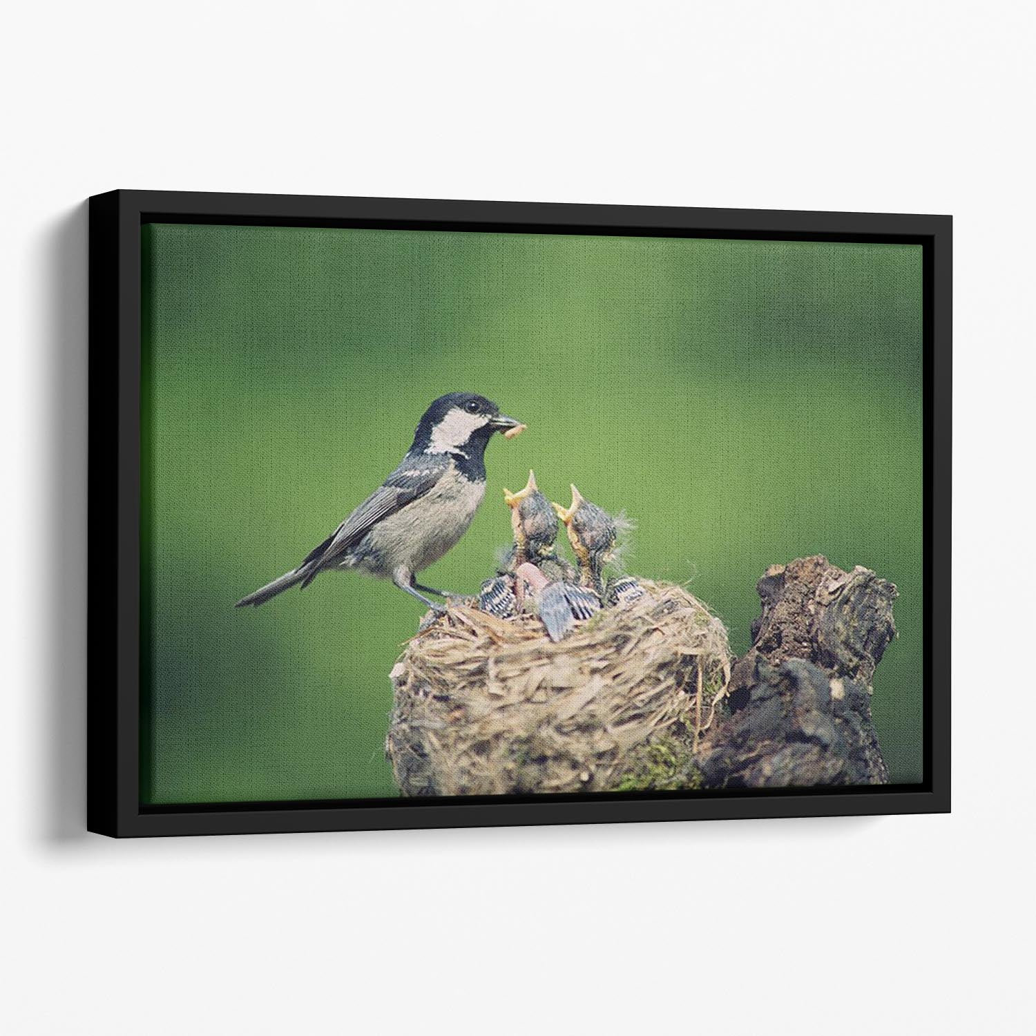 Birds Floating Framed Canvas - 1x - 1