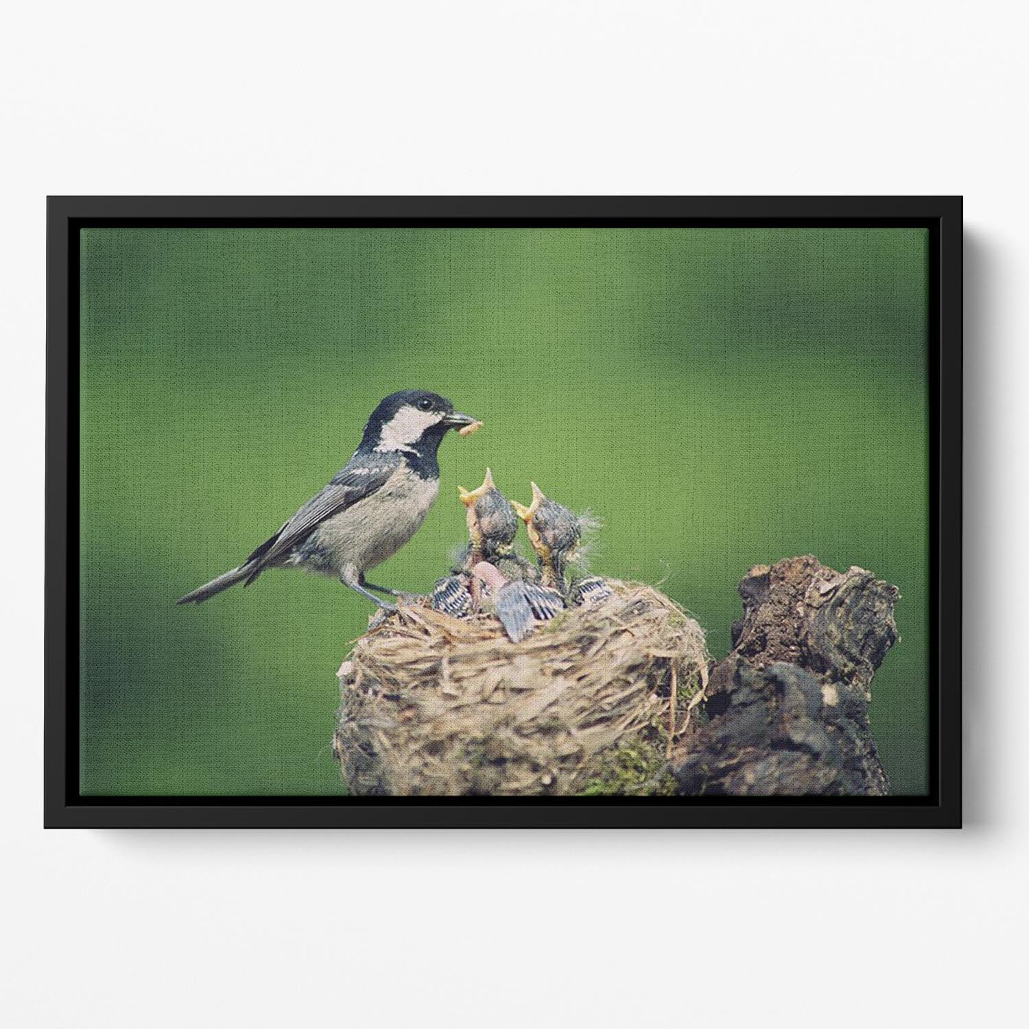 Birds Floating Framed Canvas - 1x - 2