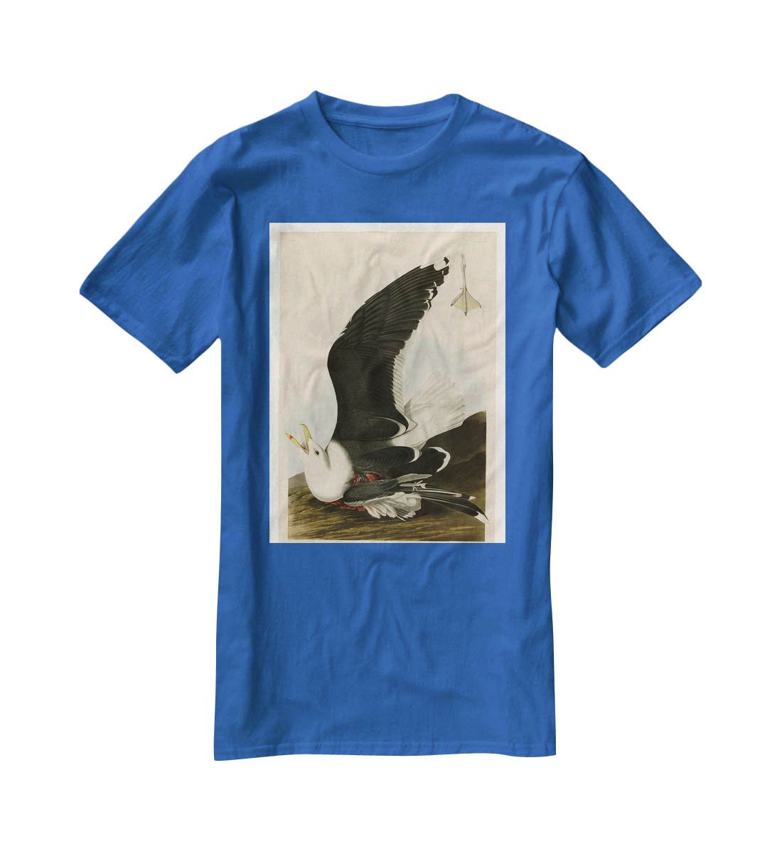 Black Backed Gull by Audubon T-Shirt - Canvas Art Rocks - 2