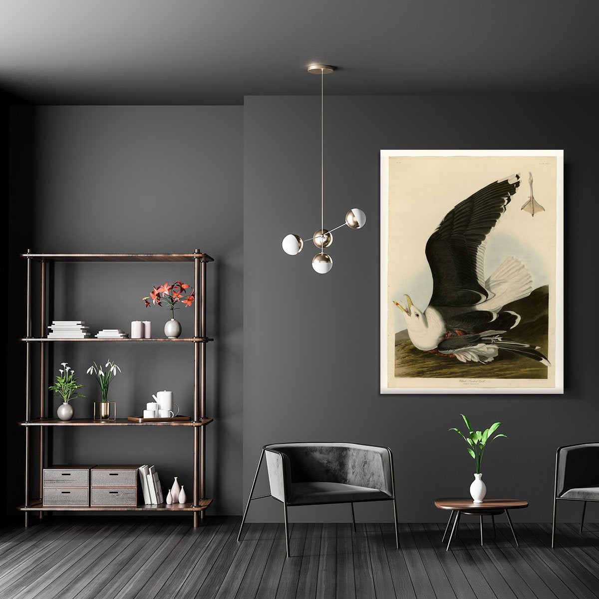 Black Backed Gull by Audubon Canvas Print or Poster