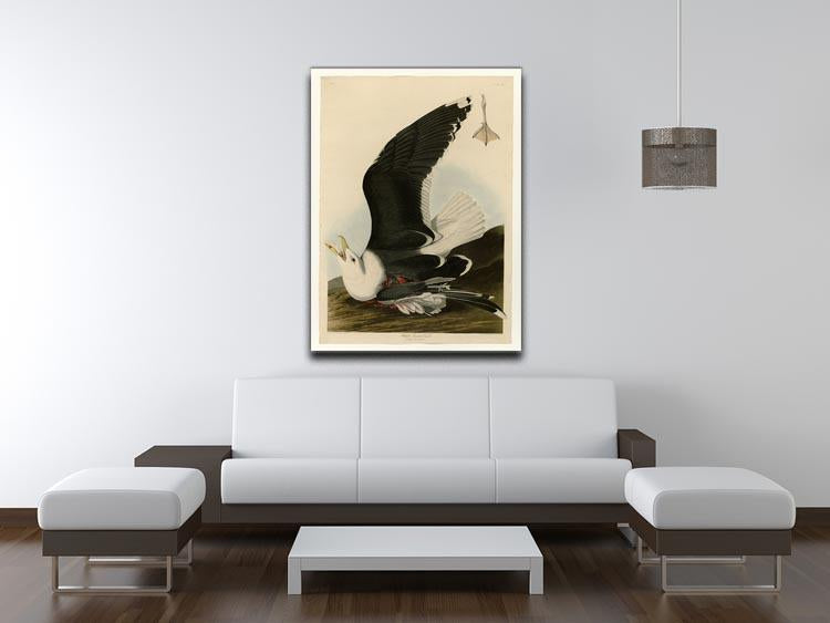 Black Backed Gull by Audubon Canvas Print or Poster - Canvas Art Rocks - 4