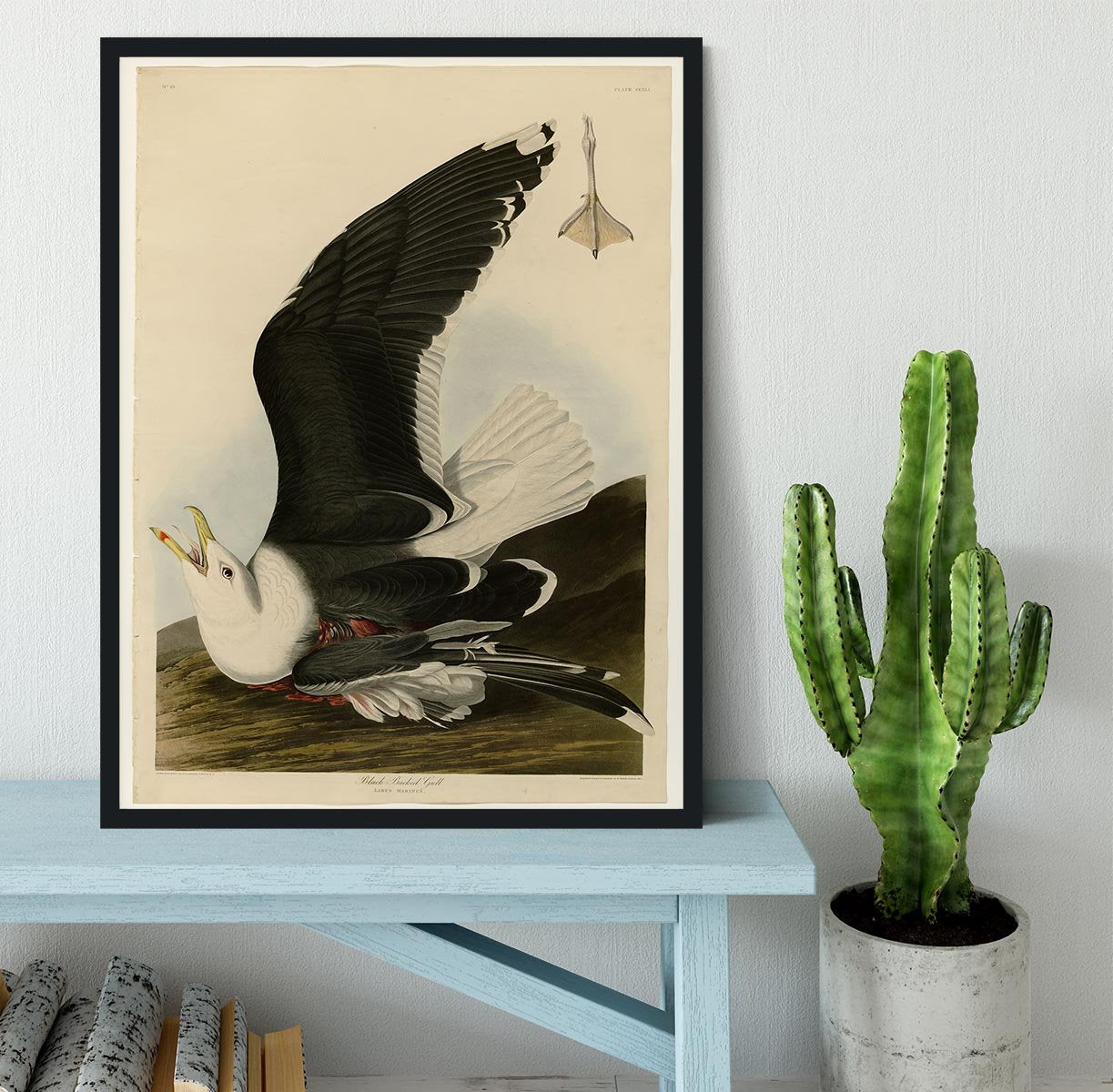 Black Backed Gull by Audubon Framed Print - Canvas Art Rocks - 2
