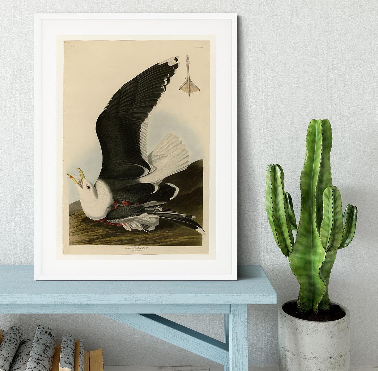 Black Backed Gull by Audubon Framed Print - Canvas Art Rocks - 5