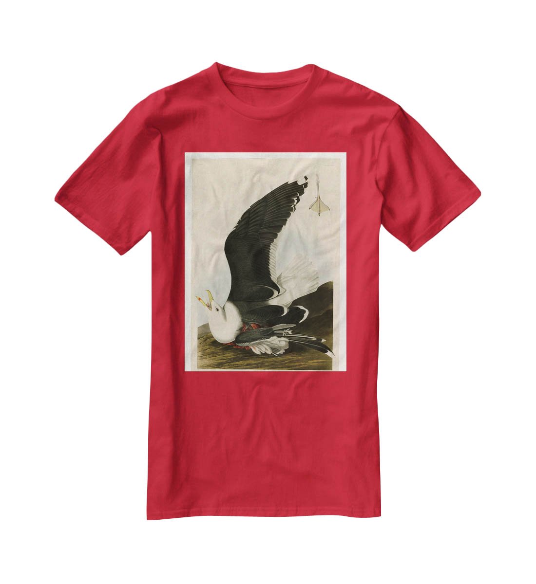 Black Backed Gull by Audubon T-Shirt - Canvas Art Rocks - 4