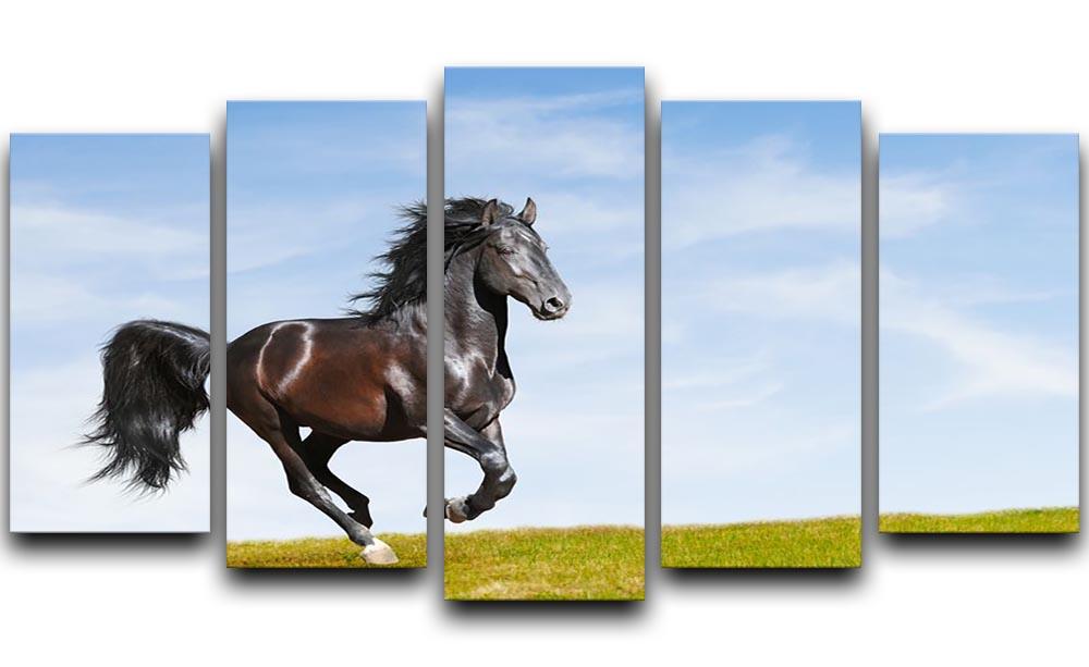 Black Kladruby horse rung gallop 5 Split Panel Canvas - Canvas Art Rocks - 1