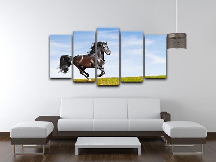 Black Kladruby horse rung gallop 5 Split Panel Canvas - Canvas Art Rocks - 3