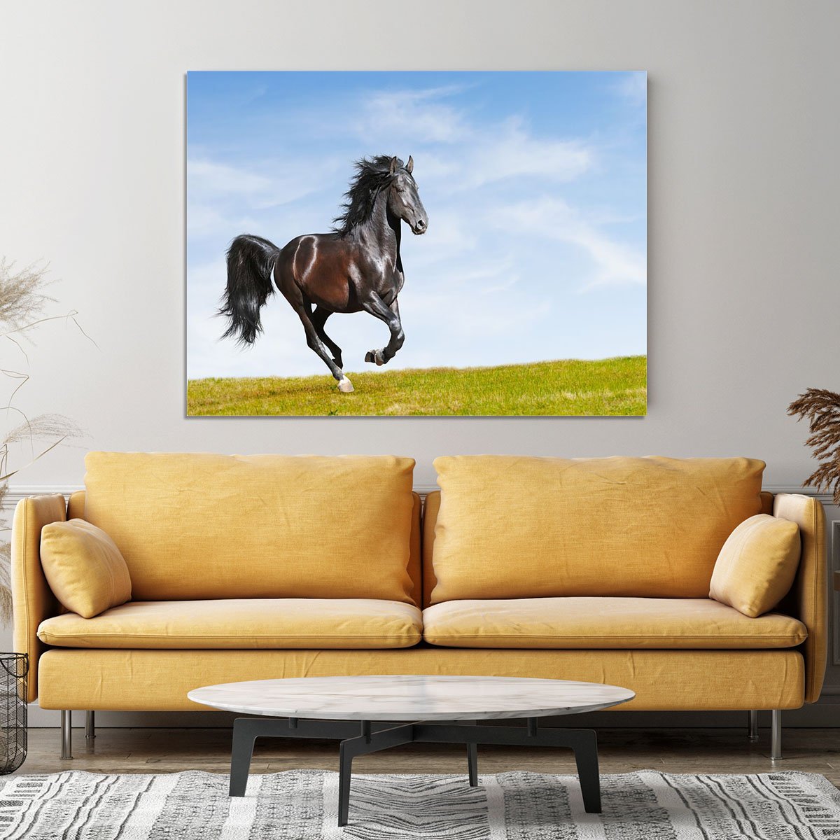Black Kladruby horse rung gallop Canvas Print or Poster
