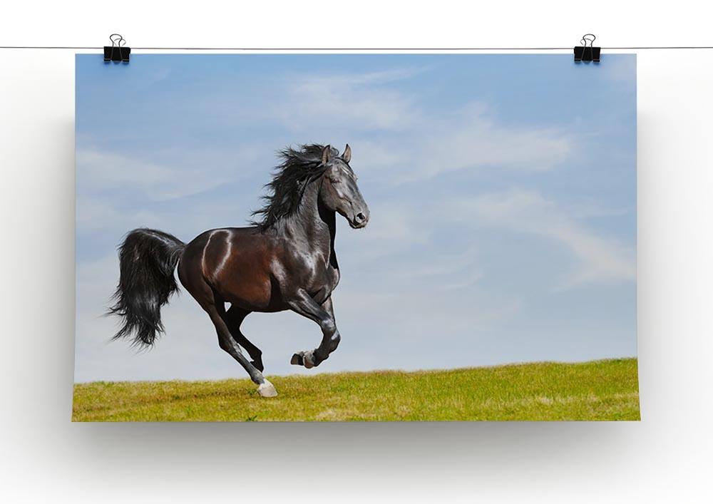 Black Kladruby horse rung gallop Canvas Print or Poster - Canvas Art Rocks - 2