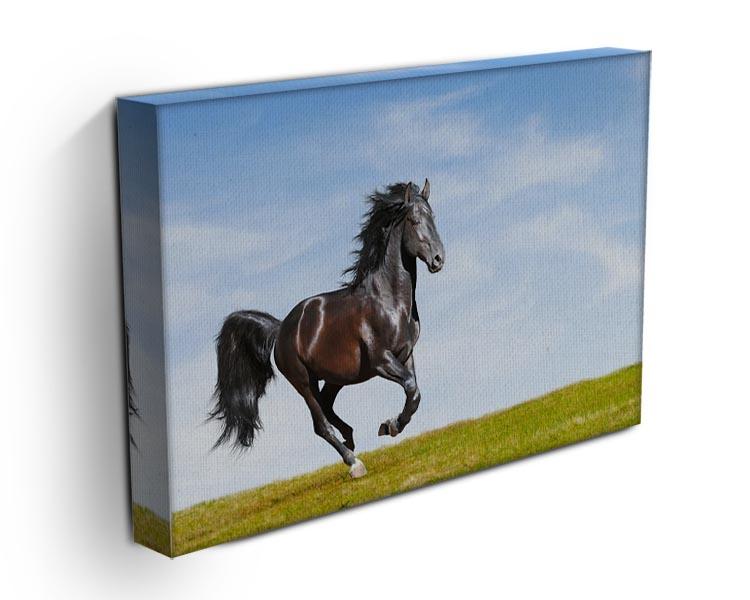Black Kladruby horse rung gallop Canvas Print or Poster - Canvas Art Rocks - 3