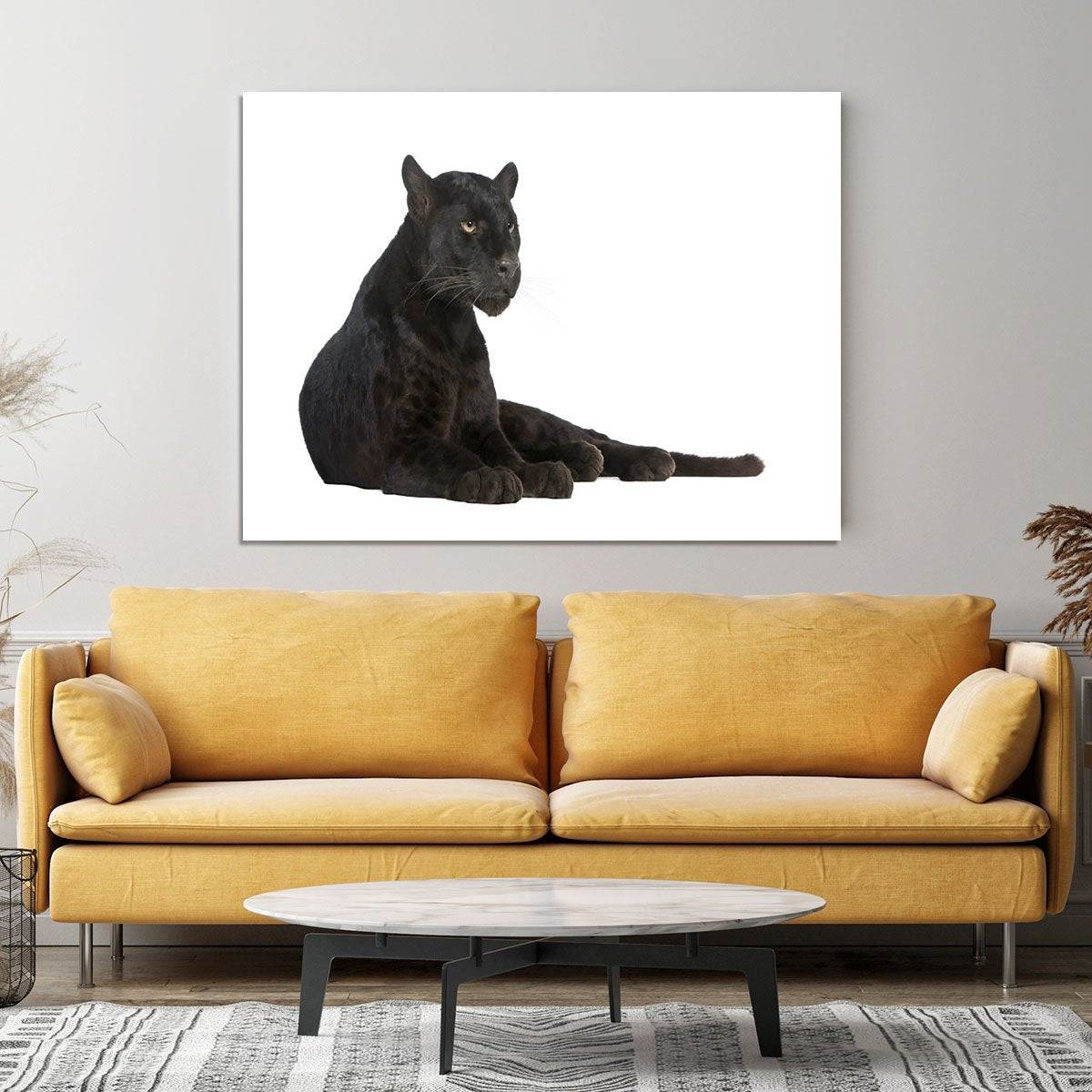 Black Leopard 6 years Canvas Print or Poster