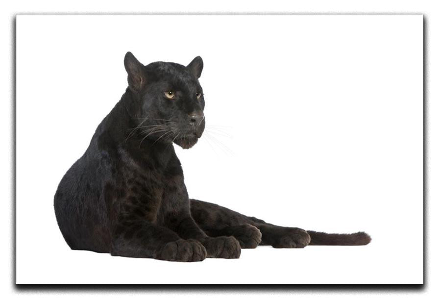 Black Leopard 6 years Canvas Print or Poster - Canvas Art Rocks - 1
