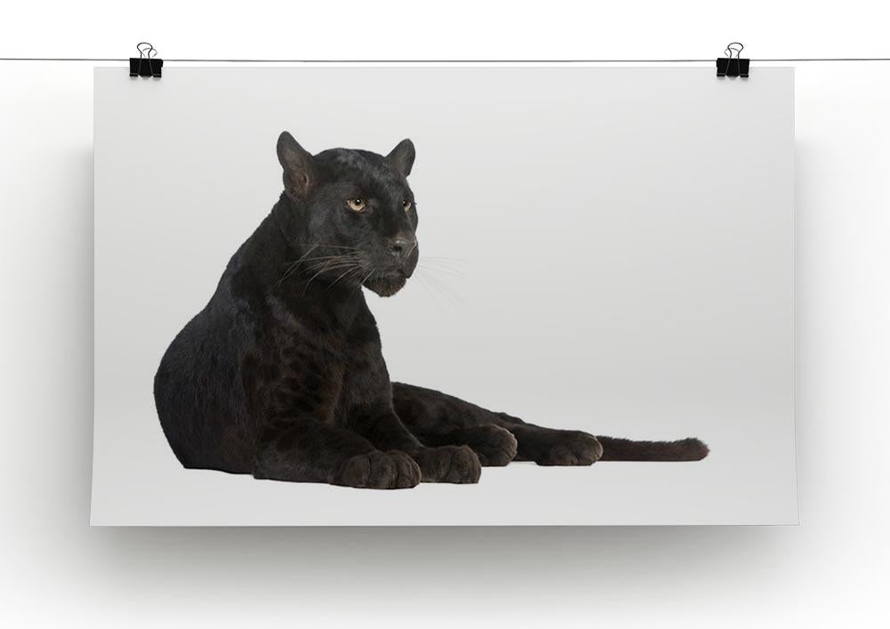 Black Leopard 6 years Canvas Print or Poster - Canvas Art Rocks - 2