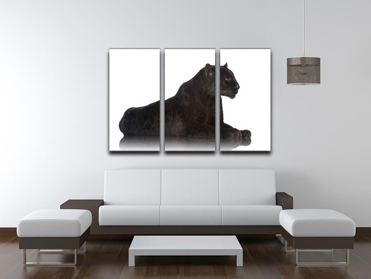 Black Leopard 6 years in front of a white background 3 Split Panel Canvas Print - Canvas Art Rocks - 3