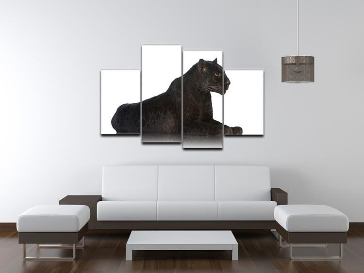 Black Leopard 6 years in front of a white background 4 Split Panel Canvas - Canvas Art Rocks - 3