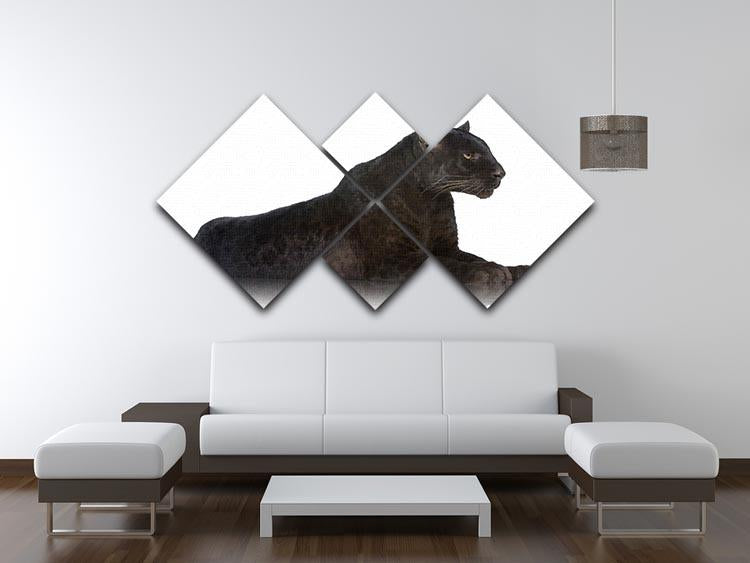 Black Leopard 6 years in front of a white background 4 Square Multi Panel Canvas - Canvas Art Rocks - 3