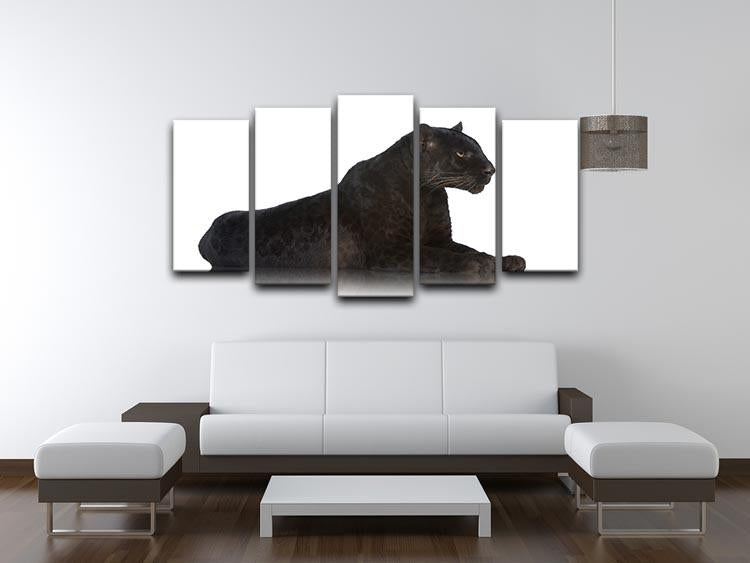 Black Leopard 6 years in front of a white background 5 Split Panel Canvas - Canvas Art Rocks - 3