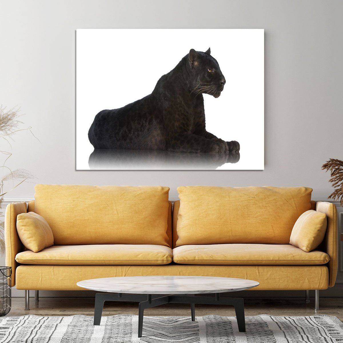 Black Leopard 6 years in front of a white background Canvas Print or Poster