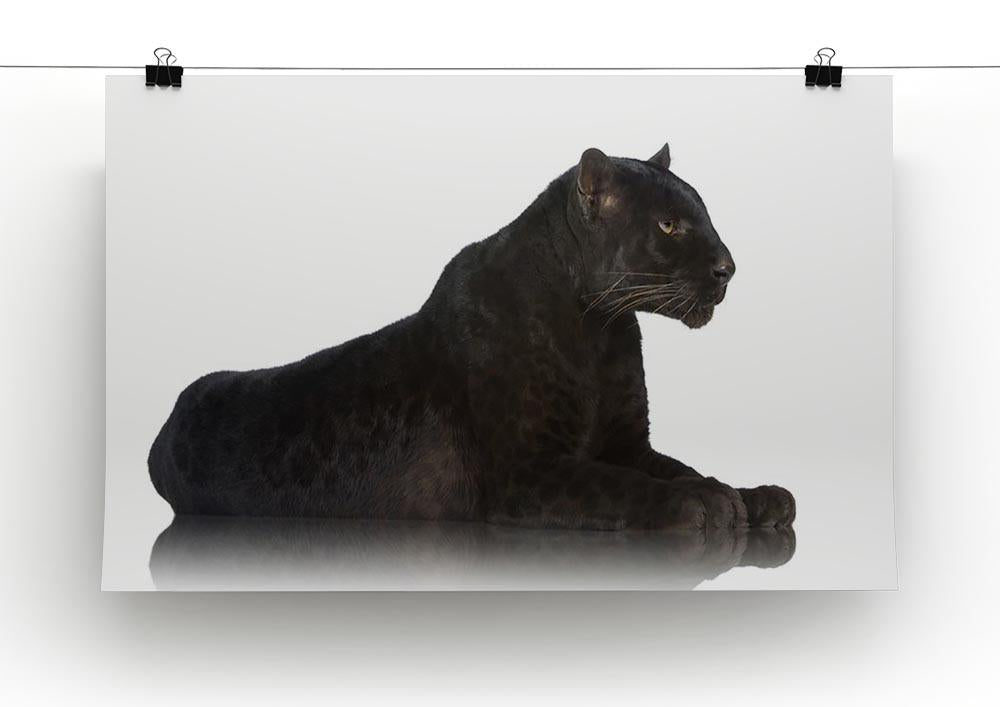 Black Leopard 6 years in front of a white background Canvas Print or Poster - Canvas Art Rocks - 2