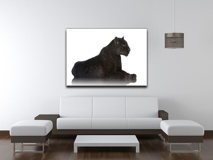 Black Leopard 6 years in front of a white background Canvas Print or Poster - Canvas Art Rocks - 4