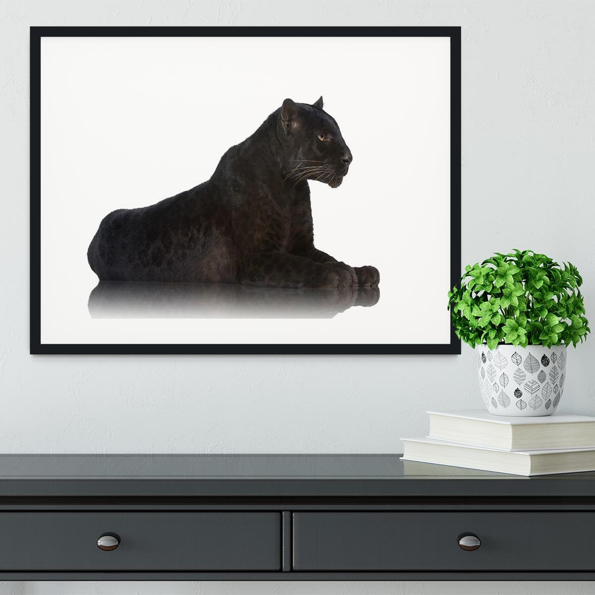 Black Leopard 6 years in front of a white background Framed Print - Canvas Art Rocks - 1