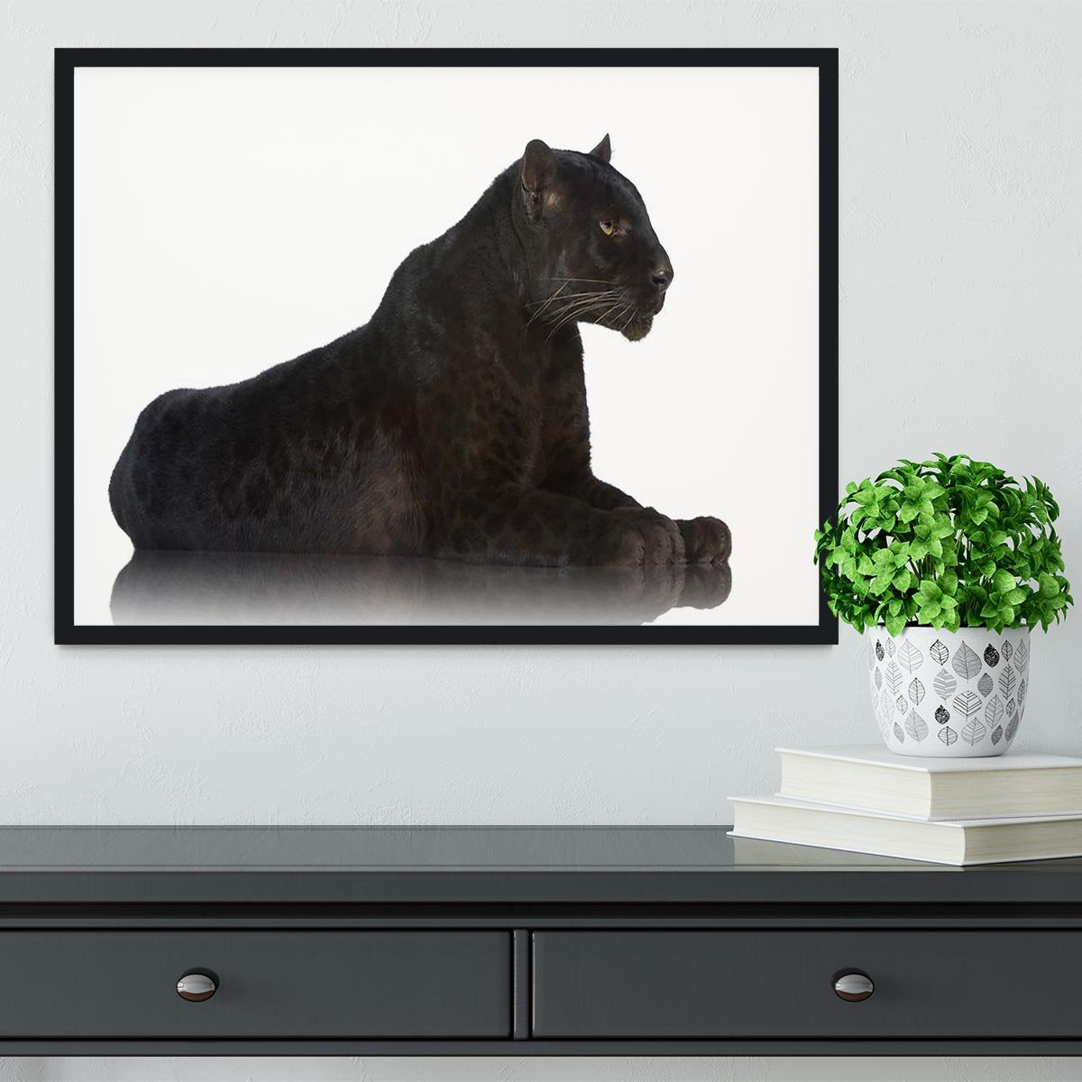 Black Leopard 6 years in front of a white background Framed Print - Canvas Art Rocks - 2