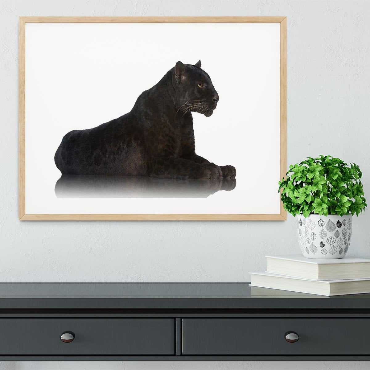 Black Leopard 6 years in front of a white background Framed Print - Canvas Art Rocks - 3