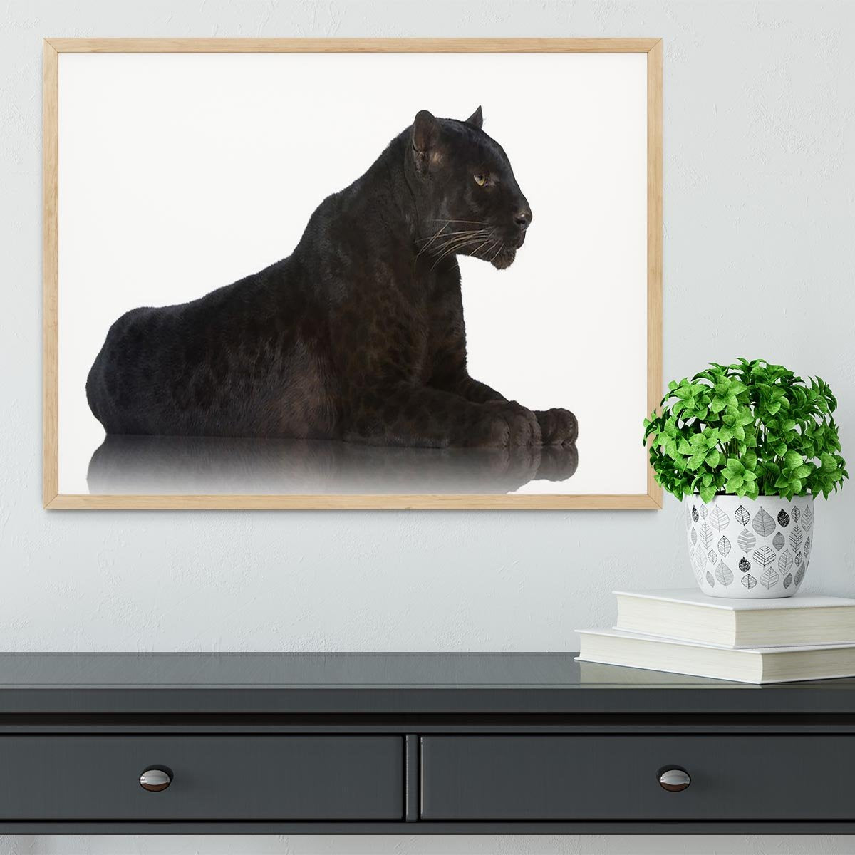 Black Leopard 6 years in front of a white background Framed Print - Canvas Art Rocks - 4