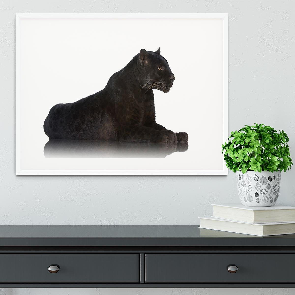 Black Leopard 6 years in front of a white background Framed Print - Canvas Art Rocks - 5