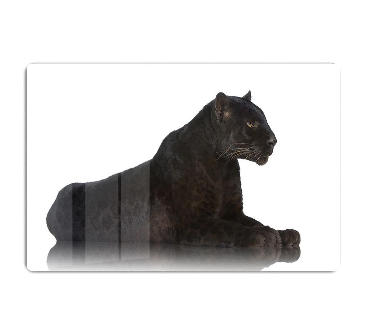 Black Leopard 6 years in front of a white background HD Metal Print - Canvas Art Rocks - 1