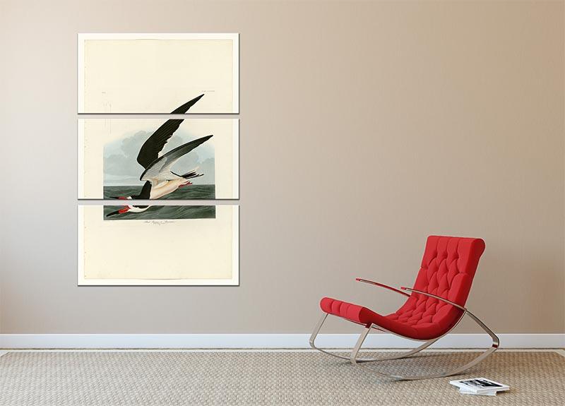 Black Skimmer by Audubon 3 Split Panel Canvas Print - Canvas Art Rocks - 2