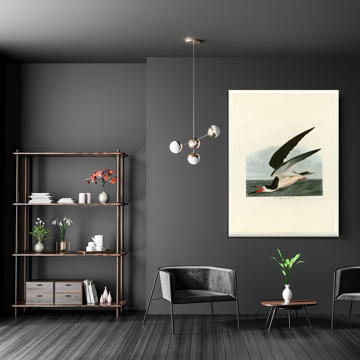 Black Skimmer by Audubon Canvas Print or Poster