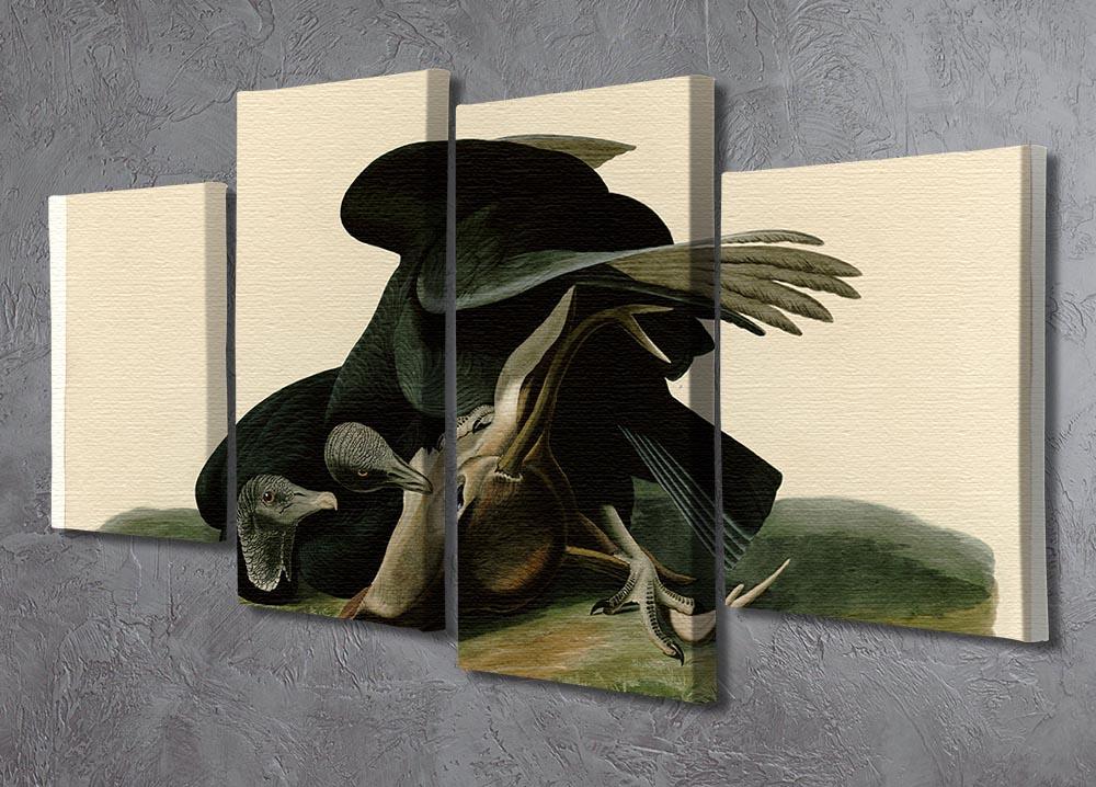 Black Vulture by Audubon 4 Split Panel Canvas - Canvas Art Rocks - 2