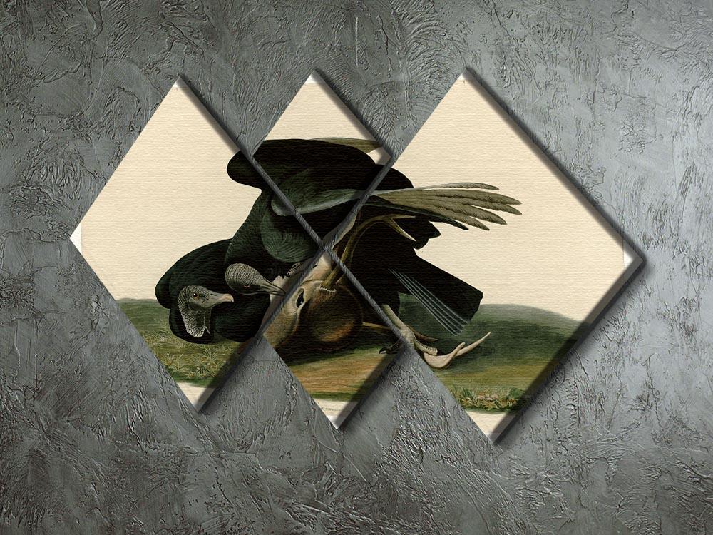Black Vulture by Audubon 4 Square Multi Panel Canvas - Canvas Art Rocks - 2