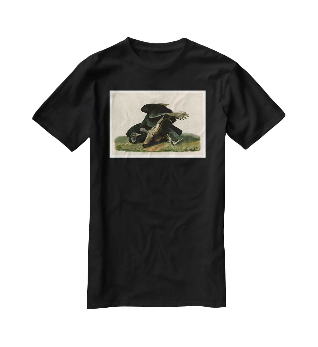 Black Vulture by Audubon T-Shirt - Canvas Art Rocks - 1