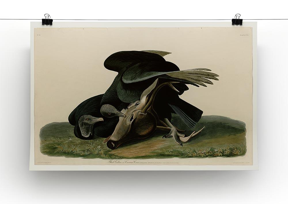Black Vulture by Audubon Canvas Print or Poster - Canvas Art Rocks - 2