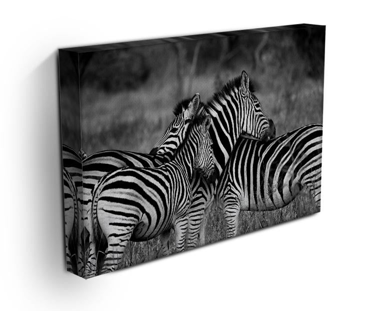 Black and White Zebra Print - Canvas Art Rocks - 3
