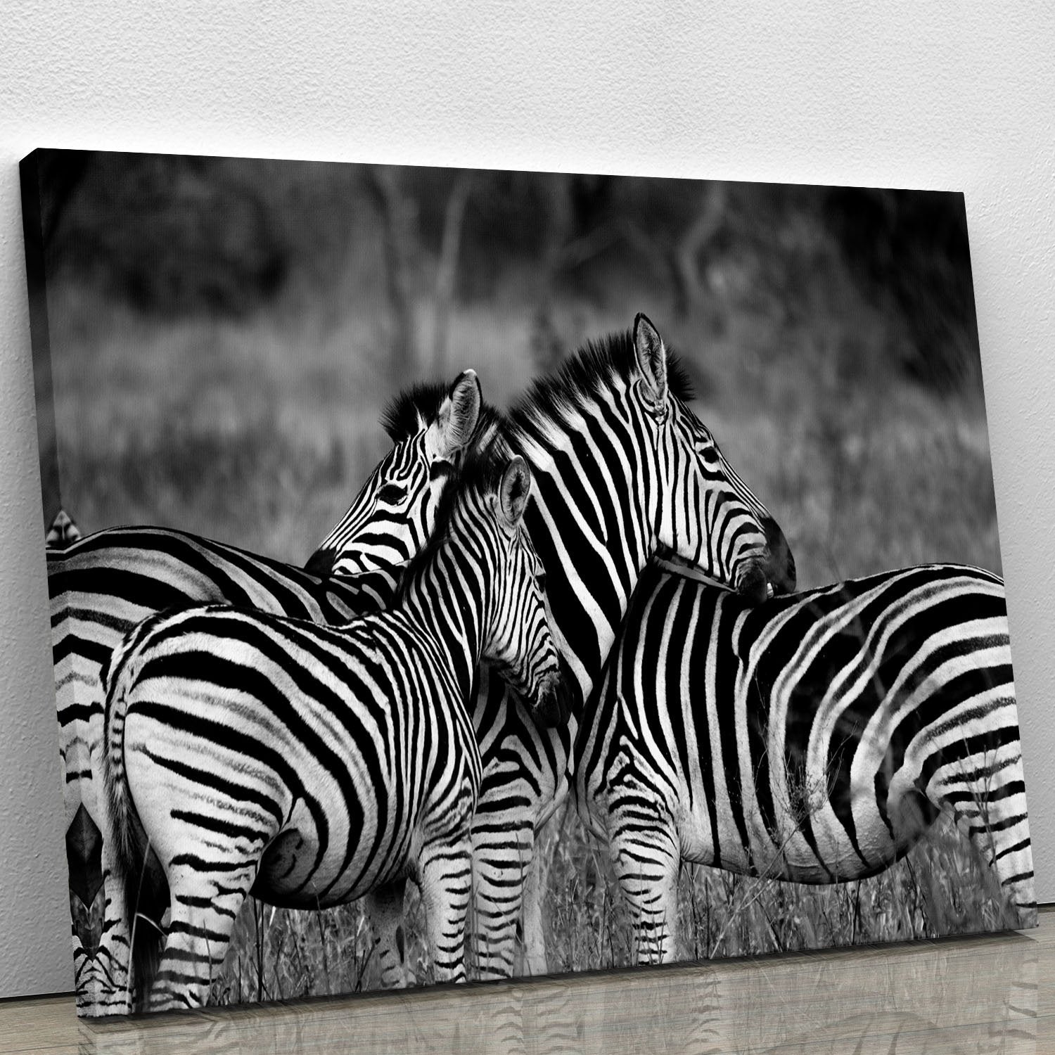Black and White Zebra Canvas Print or Poster