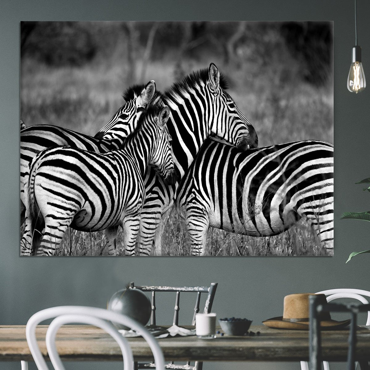 Black and White Zebra Canvas Print or Poster