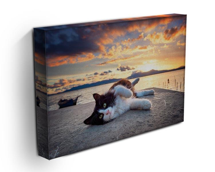 Black and white cat lying under a dramatic sunset Canvas Print or Poster - Canvas Art Rocks - 3