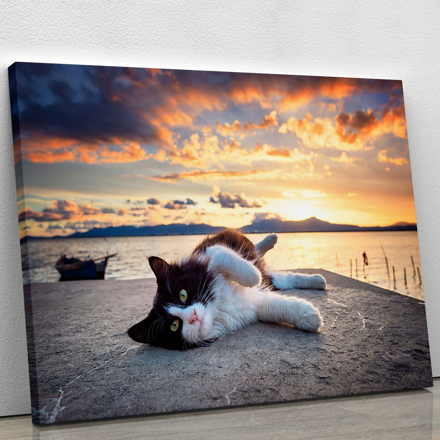 Black and white cat lying under a dramatic sunset on the lagoon Canvas Print or Poster